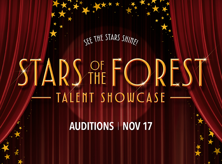 Stars of the Forest logo